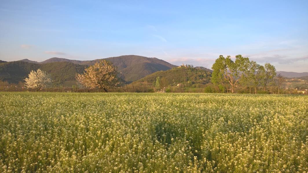 Paesaggio Franciacorta 