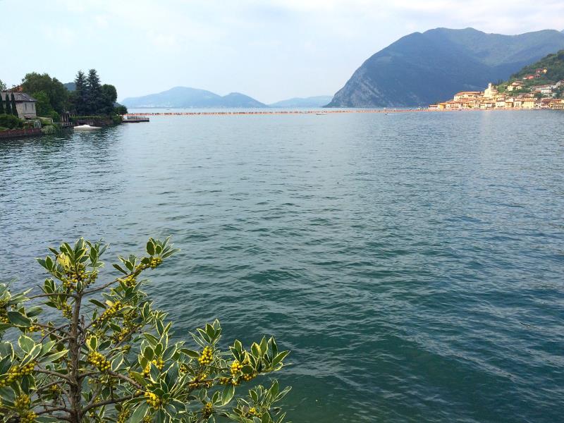 Bellissima esperienza! Grazie Amanda d'averla resa possibile gestendo il nostro gruppo in quella moltitudine di persone!